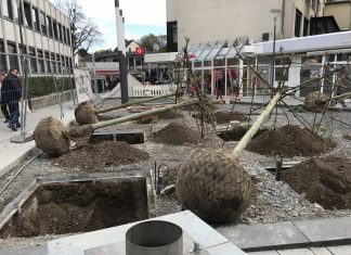 Umgestaltung des alten "Waschbretts": Die Pflanzen wurden angeliefert. Foto: Kreissstadt Mettmann