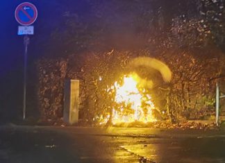 Bei dem Feuer wurde auch eine angrenzende Hecke beschädigt. Foto: Polizei