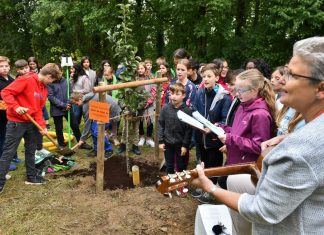 Mit Gesang und frischem Mutterboden - an der Realschule Heiligenhaus wachsen nun vier frisch gepflanzte Obstbäume heran. Foto: Mathias Kehren