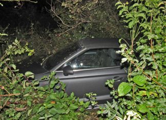 Der Audi A3 landete im Unterholz der Straßenböschung. Foto: Polizei
