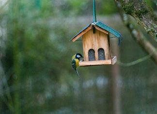 Heute: Am Zeittunnel werden Nistkästen gebaut. Foto: Symbolbild (pixabay)