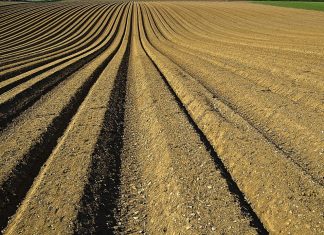 Ein Acker eines Landwirts ist zu sehen. Foto: Symbolbild (pixabay)