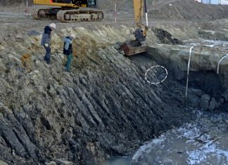 Bei Bauarbeiten wurden fossile Knochen freigelegt. Foto: Geologischer Dienst NRW