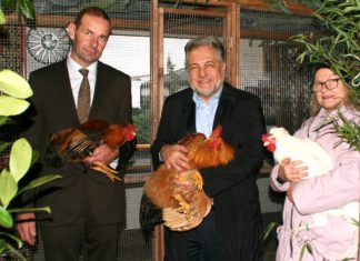 Vereinsvorsitzender Stefan Krus, Bürgermeister Thomas Dinkelmann und Rassegeflügelzüchterin Rita Bohndorf. Foto: Kreisstadt Mettmann
