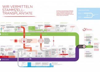 Die DKMS vermittelt Stammzell-Transplantate. Grafik: DKMS