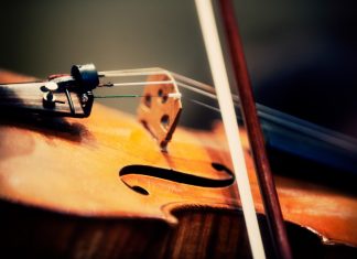 Das Wuppertaler Sinfonieorchester spielt. Foto: Dirk Sengotta