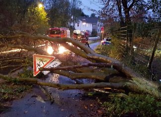 Ein umgestürzter Baum hat die Donnerstraße in Velbert-Langenberg blockiert. Foto: Feuerwehr Velbert