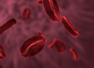 Unter anderem das BLut kann auf eine Infektion mit HIV untersucht werden. Bild: Symbolbild (pixabay)