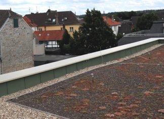 Auch auf städtischen Liegenschaften entstehen immer mehr begrünte Dächer. Das neue Rathaus gehört dazu. Auf dem Dach des Ostflügels wird es im Frühjahr bestimmt schon mehr Grün geben. Foto: Stadt Ratingen