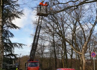 An der Bleibergstraße ist ein Ast auf ein parkendes Auto gestürzt. Foto: Feuerwehr Heiligenhaus