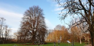 Outdoor-Sport bei Wind und Wetter: Der Fitnessparcours ist fertig. Foto: Kreisstadt Mettmann