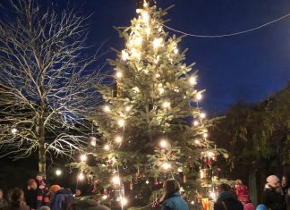 Der Weihnachtsbaum auf dem Mühlenplatz in Velbert-Langenberg ist geschmückt. Foto: priavt