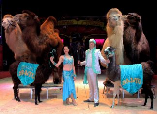 Circus Salto gastiert wieder in Wuppertal. Foto: Oliver M. Klamke