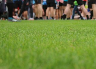 Der Rasen war aufgrund von Regenfällen durchweicht: Die Crosslauf-Strecke bei den Regionsmeisterschaften in Essen war anspruchsvoll. Symbolfoto: André Volkmann