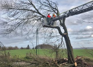 Mit Hilfe der Drehleiter wurde der morsche Baum Stück für Stück abgetragen. Foto: Feuerwehr Velbert
