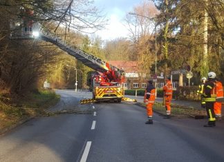 Eine Stunde dauerte es, bis der Baum an der Talstraße gefällt war. Foto: Kreisstadt Mettmann