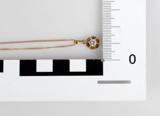 Diese Kette und einige Schmuckschatullen hatte ein Spaziergänger in einem Waldstück in Düsseldorf entdeckt. Foto: Polizei