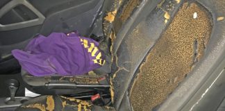 Der Innenraum des Smart wurde erheblich beschädigt. Foto: Polizei