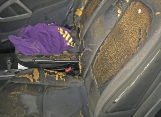Der Innenraum des Smart wurde erheblich beschädigt. Foto: Polizei