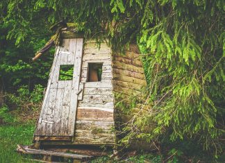 Die Anmeldephase für die Jägerprüfung läuft. Foto: pixabay
