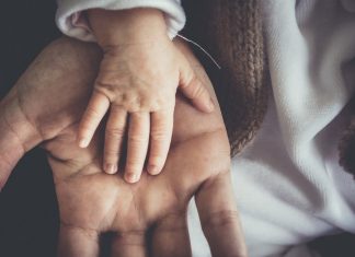 Eine Kinderhand in der eines Erwachsenen. Foto: pixabay