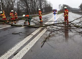 Auf der A535 in Höhe der Auffahrt Wülfrath musste die Feuerwehr einen umgestürzten Baum von der Fahrbahn räumen. Foto: Feuerwehr Velbert