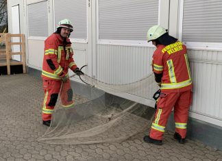 Alle Versuche, die Katze zu fangen, scheiterten. Foto: Feuerwehr Velbert