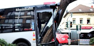 Mit Wucht prallte der Bus frontal gegen einen Baum. Foto: Polizei