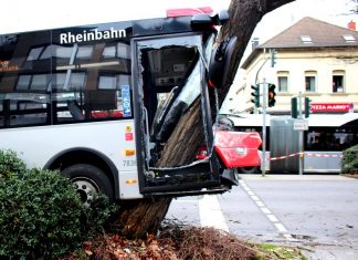Mit Wucht prallte der Bus frontal gegen einen Baum. Foto: Polizei