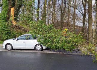 An der Grubenstraße ist ein Baum auf ein Auto gestürzt. Foto Feuerwehr Heiligenhaus