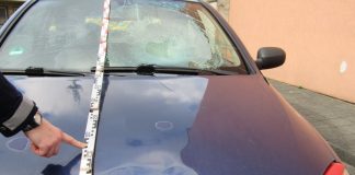Die Frau wurde mit hoher Wucht von dem Auto erfasst. Foto: Polizei