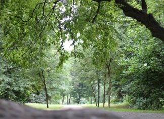 Ein Blick auf den Wülfrather Stadtpark. Foto: André Volkmann