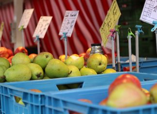 Ein Obststand auf einem Wochenmarkt. Foto: André Volkmann