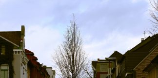 "Vielerorts zeigt sich das Wetter am heutigen Samstagvormittag ruhig und recht freundlich", so der DWD über den Nachrichtendienst Twitter. Es soll aber ungemütlicher werden. Foto: André Volkmann