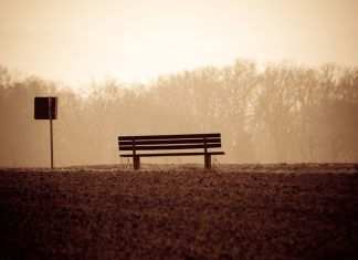 Die Idee der "Mitnahmebank" ist simpel: Wer auf der Bank sitzt, sucht eine Mitfahrgelegenheit. Symbolfoto: pixabay
