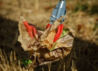 Der Müll muss weg: Auch Ratingen wird fit für den Frühling gemacht. Foto: Symbolbild (pixabay)