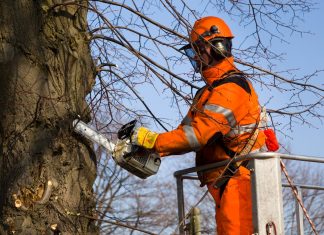 Der Landesbetrieb Straßen NRW führt Grünschnittarbeiten durch. Foto: Straßen.NRW