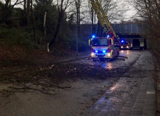 Einsätze nach Sturmtief "Sabine": Bislang zieht die Ratinger Feuerwehr eine positive Zwischenbilanz. Foto: Feuerwehr Ratingen