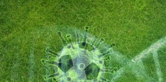 Am Niederrhein ruht der Ball vorerst: Spiele in den Jugend- und Seniorenbereichen findet bis zum 19. April nicht statt. Fotos: pixabay