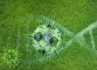 Am Niederrhein ruht der Ball vorerst: Spiele in den Jugend- und Seniorenbereichen findet bis zum 19. April nicht statt. Fotos: pixabay