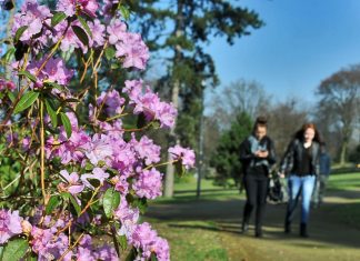 Im öffentlichen Raum, in Parks und auf Spielplätzen dürfen nur noch zwei Personen gemeinsam unterwegs sein. Es drohen Bußgelder von 200 Euro pro Person. Archivfoto: Mathias Kehren