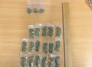 Die Polizei stellte zum Verkauf abgepacktes Marihuana sicher. Foto: Polizei