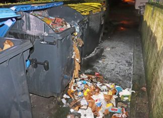 Durch die Brände entstand nach Schätzungen der Polizei ein Gesamtschaden in Höhe von mehreren Hundert Euro. Foto: Polizei