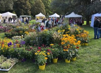 Ende März wird am Schloss Hardenberg die Gartensaison mit einem Kunsthandwerk- und Blumenmarkt eingeläutet. Foto: Veranstalter
