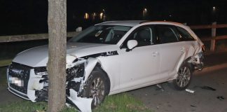 Der Audi wurde im Heckbereich von dem Golf erfasst und in einen Baum geschoben. Foto: Polizei