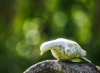 Auch in Ratingen dürfen Bestattungen derzeit nur im engen Familienkreis stattfinden. Foto: pixabay.