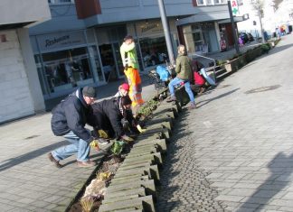 1.500 Stiefmütterchen wurden in der Innenstadt gepflanzt. Foto: Stadt Wülfrath