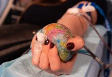 Krankenhäuser benötigen Blutspenden, um die Versorgung sicherstellen zu können. Foto: pixabay