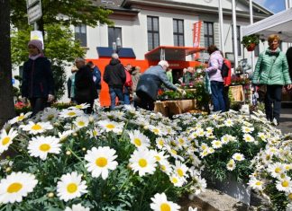 Das Frühlingsfest in Heiligenhaus kann in diesem Jahr nicht stattfinden. Foto: Mathias Kehren
