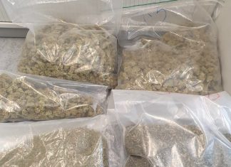 Nach den Funden der Polizei: Dem Ratinger wird der Handel mit einer nicht geringen Menge an Betäubungsmitteln vorgeworfen. Foto: Polizei